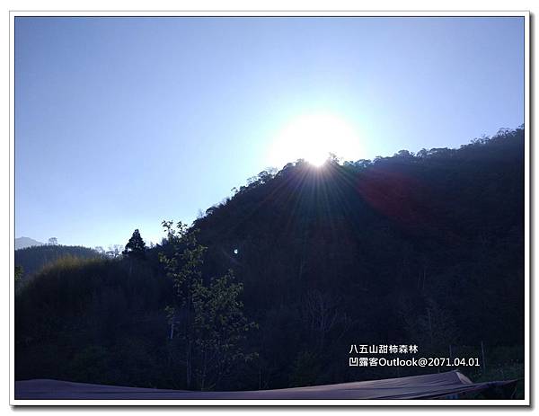 八五山甜柿森林-026.jpg 八五山甜柿森林-026.jpg