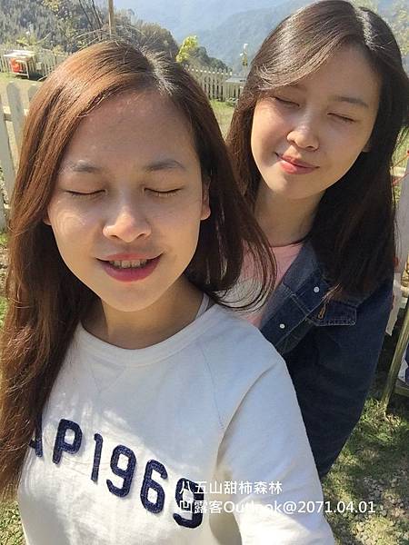 八五山甜柿森林-032.jpg 八五山甜柿森林-032.jpg