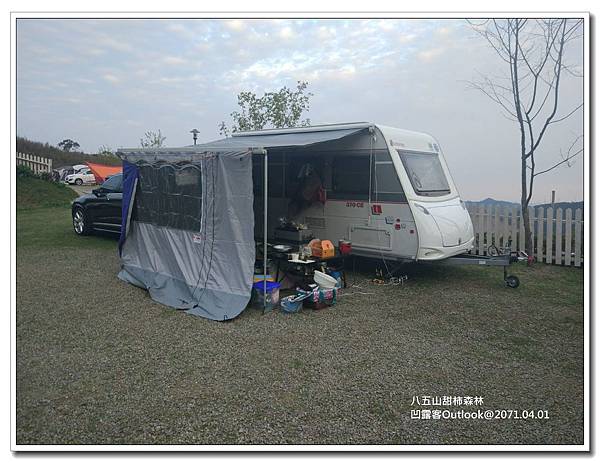 八五山甜柿森林-045.jpg 八五山甜柿森林-045.jpg