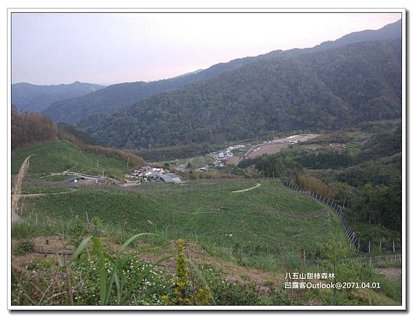 八五山甜柿森林-046.jpg 八五山甜柿森林-046.jpg