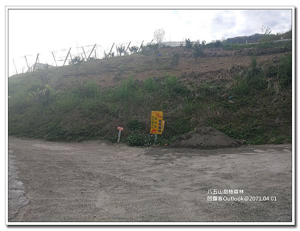 八五山甜柿森林-048.jpg 八五山甜柿森林-048.jpg