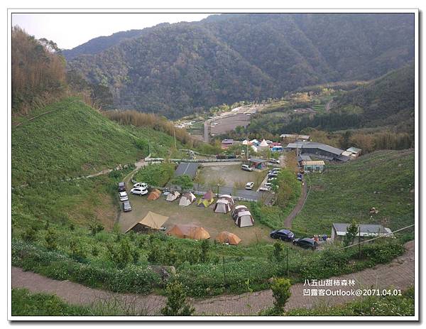 八五山甜柿森林-050.jpg 八五山甜柿森林-050.jpg