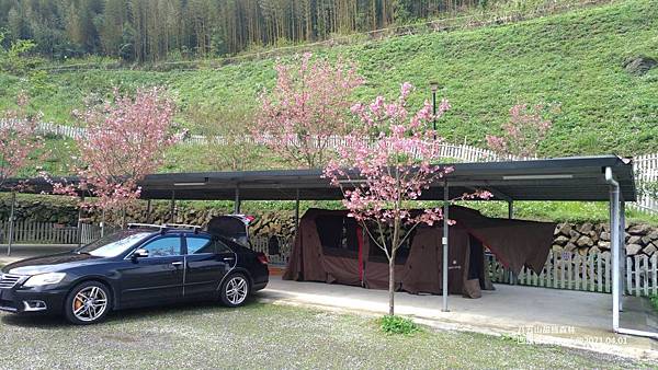 八五山甜柿森林-055.jpg 八五山甜柿森林-055.jpg