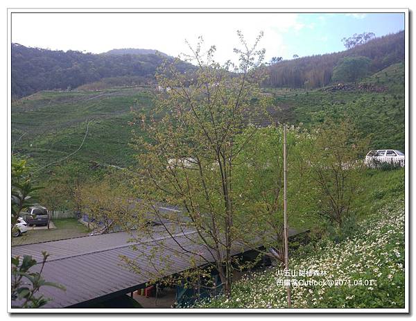 八五山甜柿森林-052.jpg 八五山甜柿森林-052.jpg