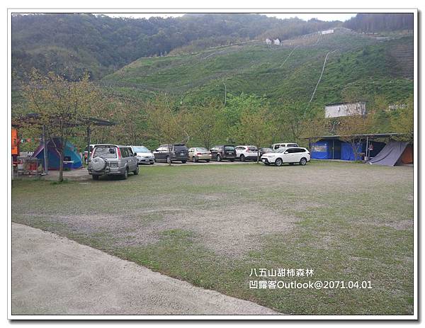 八五山甜柿森林-053.jpg 八五山甜柿森林-053.jpg