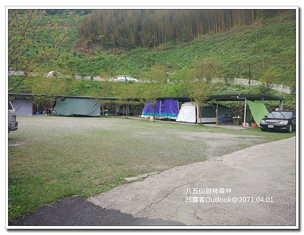 八五山甜柿森林-054.jpg 八五山甜柿森林-054.jpg