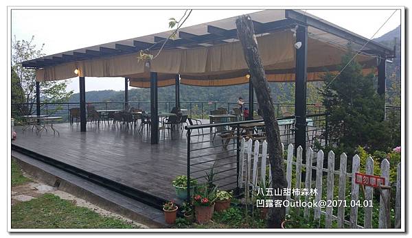 八五山甜柿森林-058.jpg 八五山甜柿森林-058.jpg