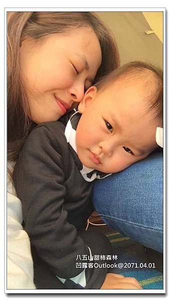 八五山甜柿森林-064.jpg 八五山甜柿森林-064.jpg