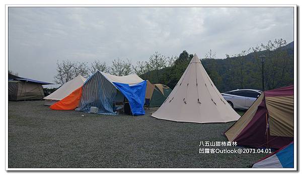 八五山甜柿森林-061.jpg 八五山甜柿森林-061.jpg