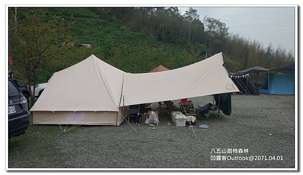 八五山甜柿森林-060.jpg 八五山甜柿森林-060.jpg