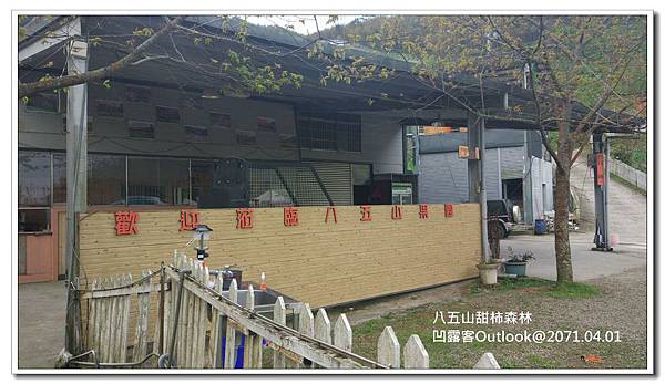 八五山甜柿森林-059.jpg 八五山甜柿森林-059.jpg