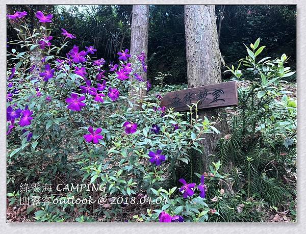 IMG_0384.jpg IMG_0384.jpg