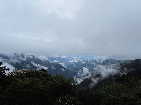 IMG_6101 IMG_6101