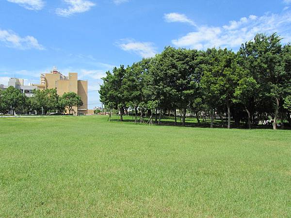 IMG_6129 IMG_6129
