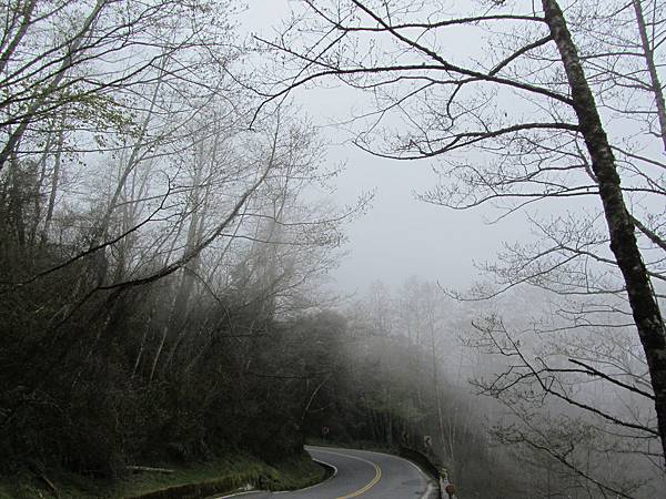 IMG_2947.JPG IMG_2947.JPG