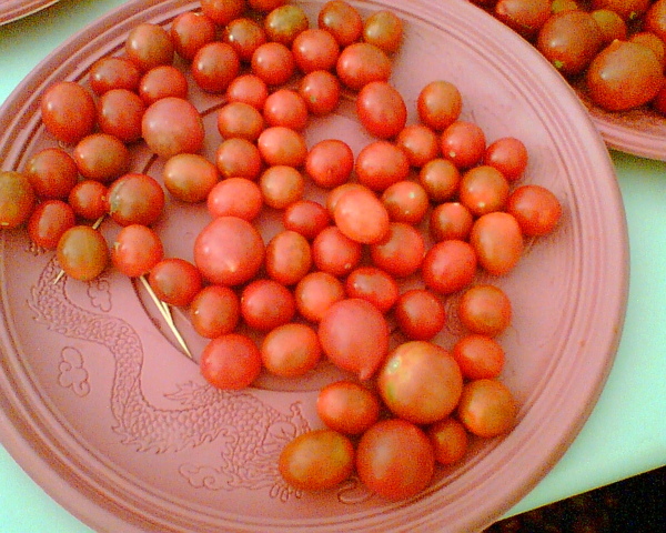 影像042.jpg 影像042.jpg