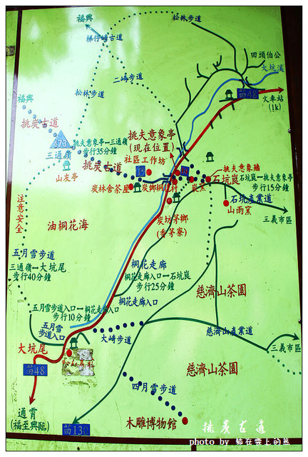 苗栗 賞桐花 挑炭古道 桐花走廊 走步道賞桐花 熊の日々 偶々