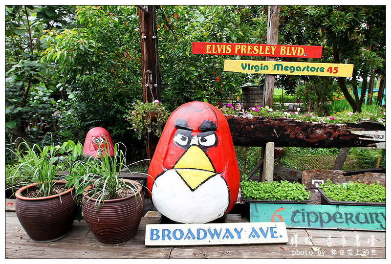 IMG_8545.JPG IMG_8545.JPG