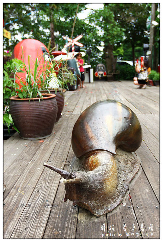 IMG_8552.JPG IMG_8552.JPG