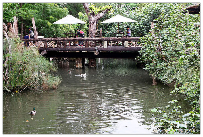 IMG_8638.JPG IMG_8638.JPG