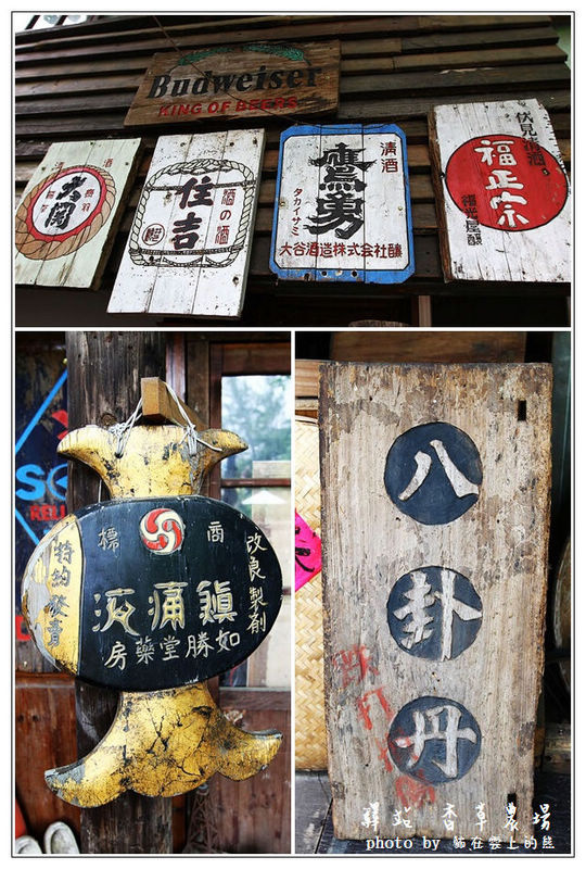 IMG_8645.JPG IMG_8645.JPG