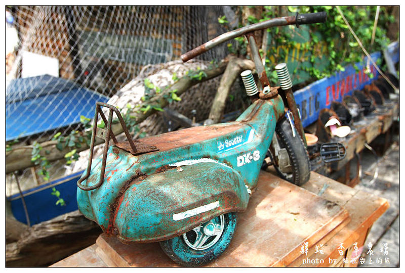 IMG_8659.JPG IMG_8659.JPG