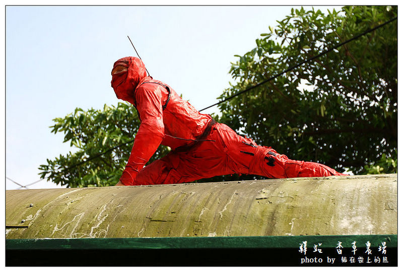 IMG_8725.JPG IMG_8725.JPG