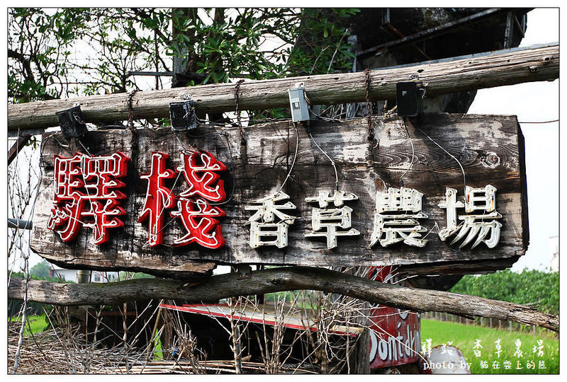 IMG_8734.JPG IMG_8734.JPG