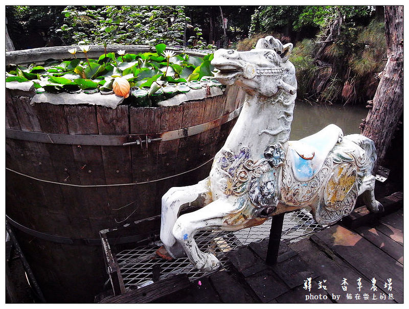 R5201903.JPG R5201903.JPG