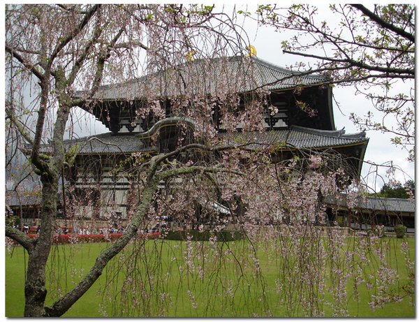 不同角度的東大寺