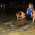 kim clijsters and brian lynch dolphin feeding 2 resized (2).jpg