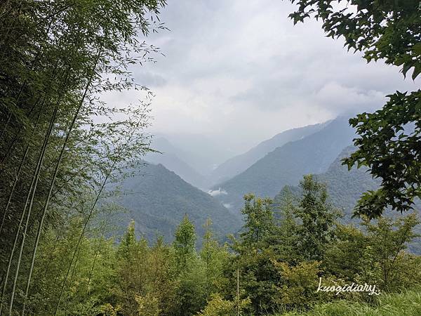 司馬庫斯_巨木群步道_山景.jpg