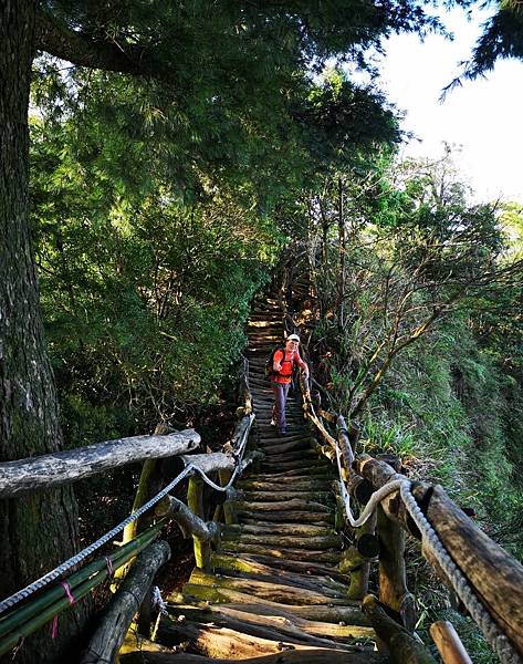 人活著要持續運動與學習新知 造就未來高齡健康人生精彩