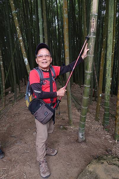 春遊踏青溪頭步道 健行登山森呼吸