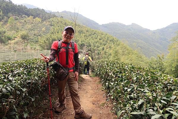 春遊踏青溪頭步道 健行登山森呼吸