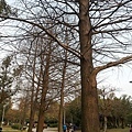 公園一隅2.jpg