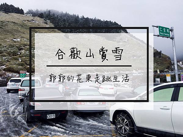 合歡山,武嶺,賞雪,雪鍊,松雪樓,風雪,管制點,寒流,下雪,拍照,打卡,ig,堆雪人,南投