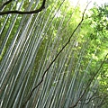 20070923京都嵐山02