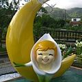 竹子湖海芋14-那是月亮不是香蕉！！