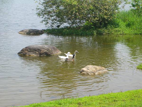 羅東運動公園16