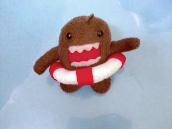 domo (6).jpg