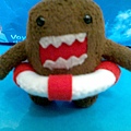 domo (7).jpg