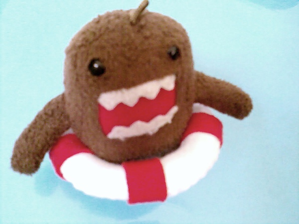 domo (2).jpg