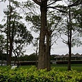 羅東運動公園