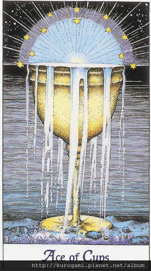 Cups01.jpg Cups01.jpg