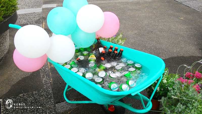 P_20150627_162357 P_20150627_162357