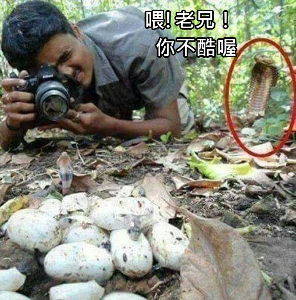 11.jpg 11.jpg