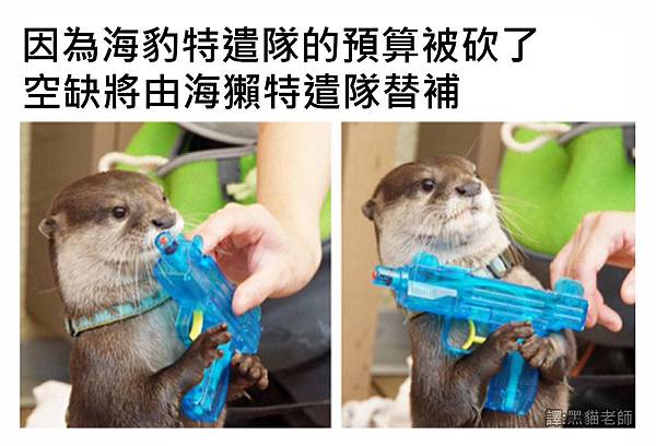 15.jpg 15.jpg