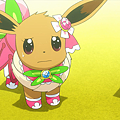 Serena_Eevee_Showcase_Debut