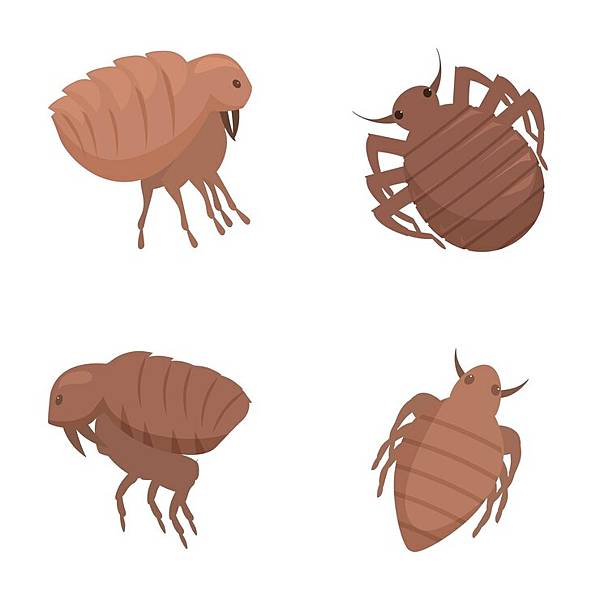 set-cartoon-bed-bugs-illustrations_98402-179777